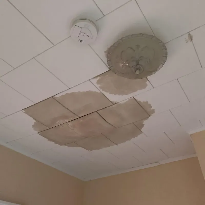 Ceiling Water Damage Repair in West Torrington, CT