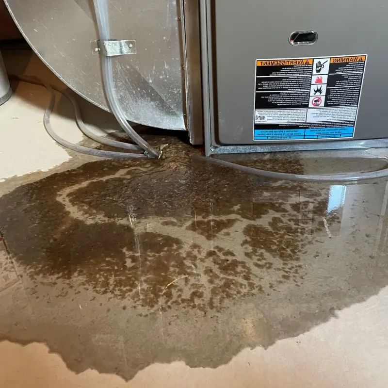 Pipe Burst and Leak Restoration in West Torrington, CT