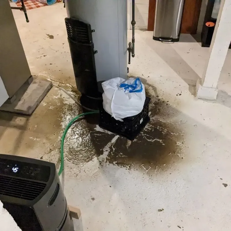 Sewage Backup Cleanup Service in West Torrington, CT